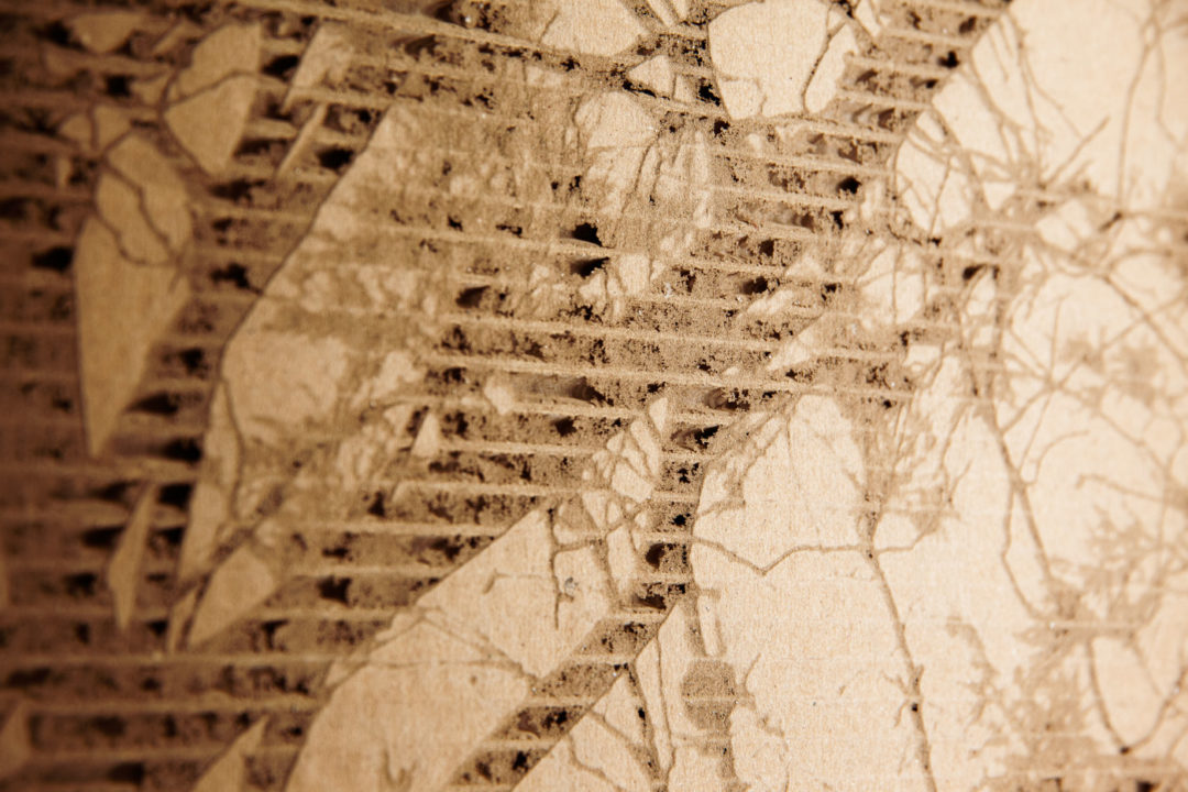 Fibre sensible 06 – Image 2
