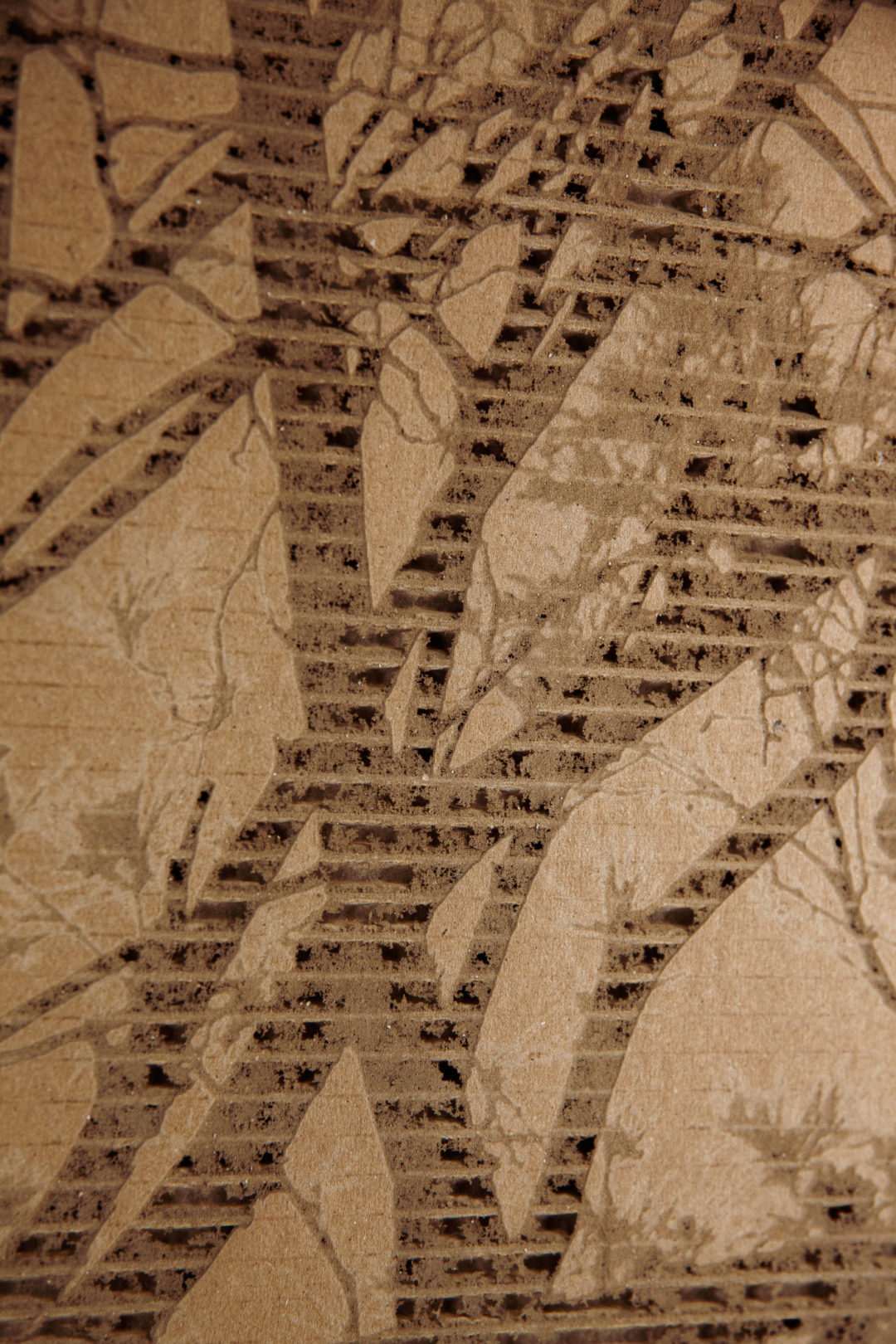 Fibre sensible 06 – Image 3