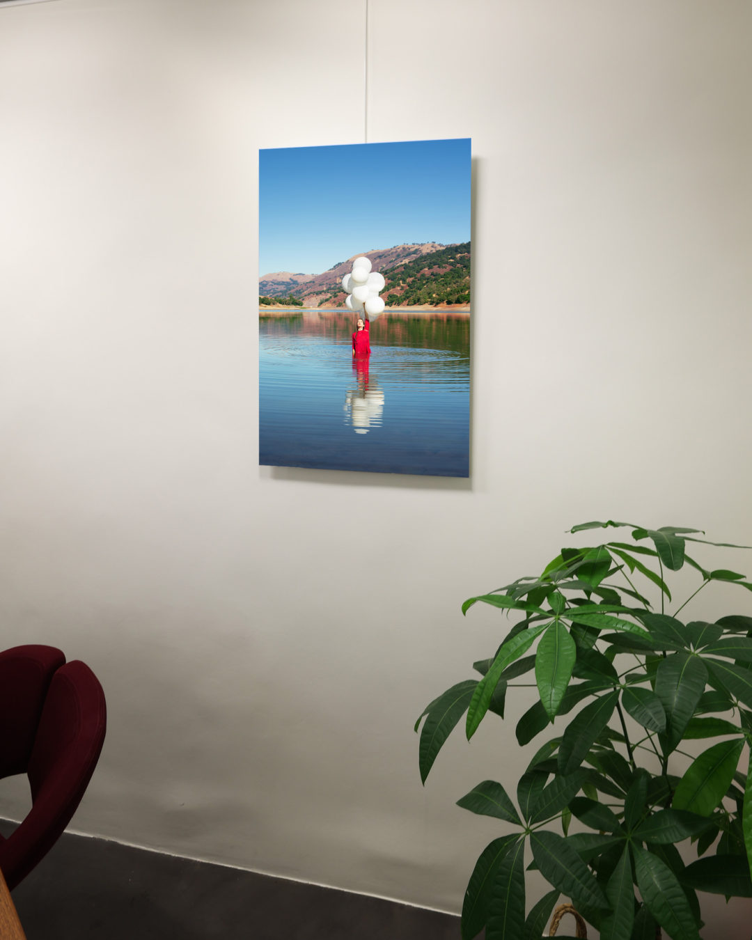 Surgi – Image 2